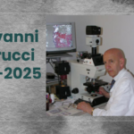 Pierucci