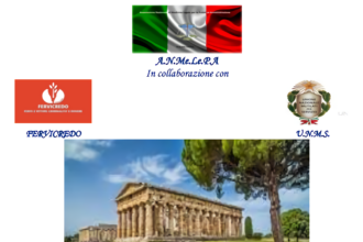 ANMeLePA